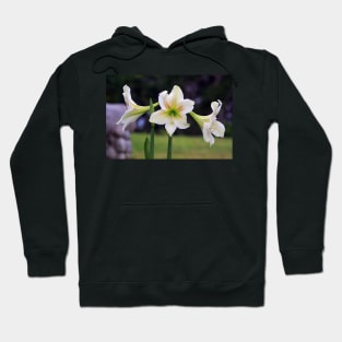 Flowers in Bloom Hoodie